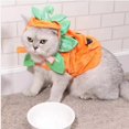 thumbnail image 3 of Disfraz de calabaza para mascotas ANIAC, sombrero y poncho ajustables para gatos, 3 of 7