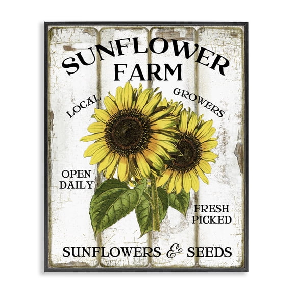 Stupell Industries Antique Sunflower Farm Seeds Plants & Flowers Painting Black Framed Art Print Wall Art, 11 x 14