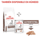 thumbnail image 2 of ROYAL CANIN GASTRO-INTESTINAL 10 KG ORIGINAL SELLADO azul, 2 of 4