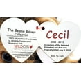 thumbnail image 4 of Ty Beanie Babies Cecil the Lion Plush 2015, 4 of 7