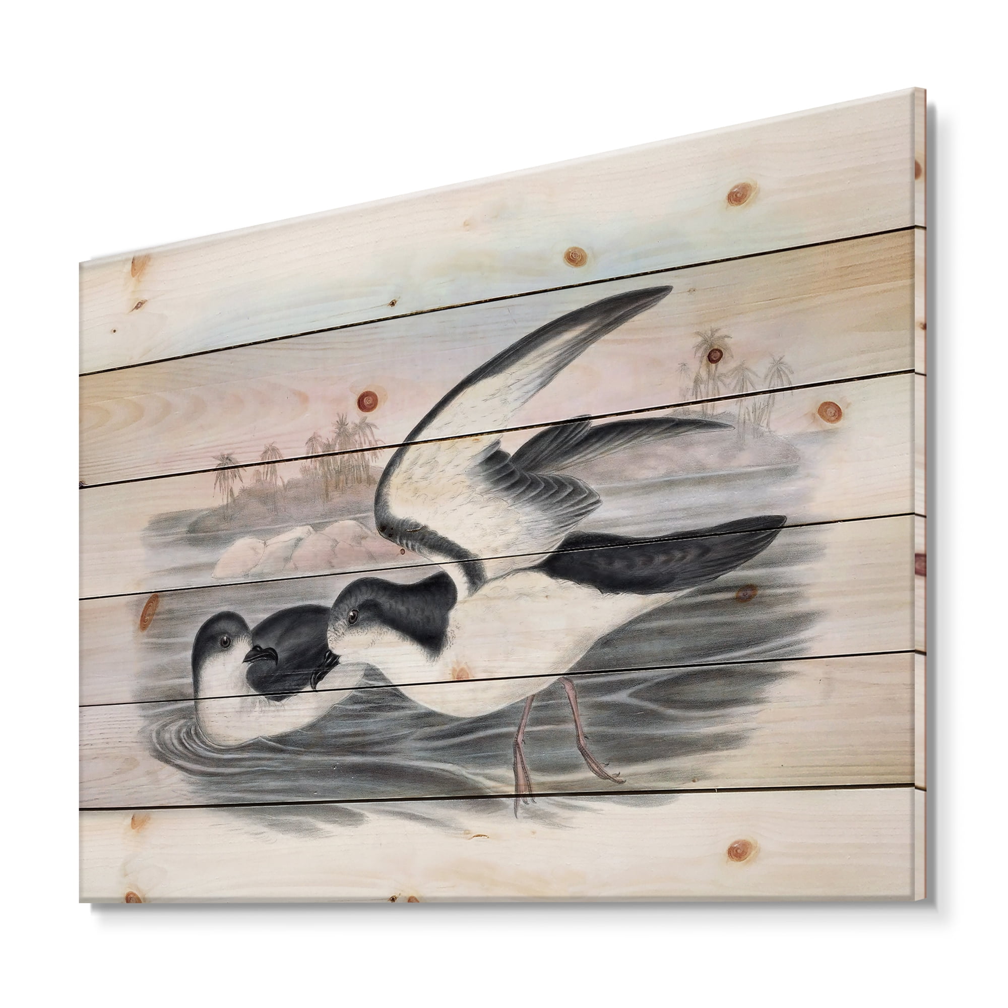Designart 'Ancient Australian Birds X' Traditional Print on Natural Pine Wood