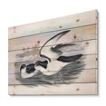 thumbnail image 2 of Designart 'Ancient Australian Birds X' Traditional Print on Natural Pine Wood, 2 of 5
