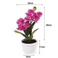 thumbnail image 5 of Kripyery Fake Potted Plant Realistic Simulation Flower Vivid Colored Fake Butterfly Orchid Bonsai for Home Decoration, 5 of 7