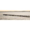 thumbnail image 3 of Blaustein, Alan 14x7 Black Modern Framed Museum Art Print Titled - Vintage Pier Morning Vista, 3 of 5