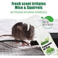thumbnail image 4 of Peppermint Oil Spray 16oz, Refreshing Peppermint Oil Air Freshener, Natural Mint Scent for Home, Car & Office, Plant-Based, Extra-Strong Formula - 16 oz, 4 of 5