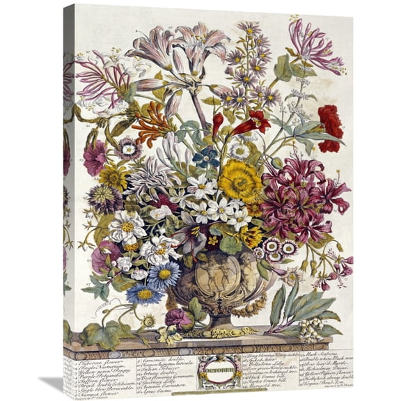 Global Gallery Robert Furber,'October - Twelve Months of Flowers' Stretched Canvas Artwork