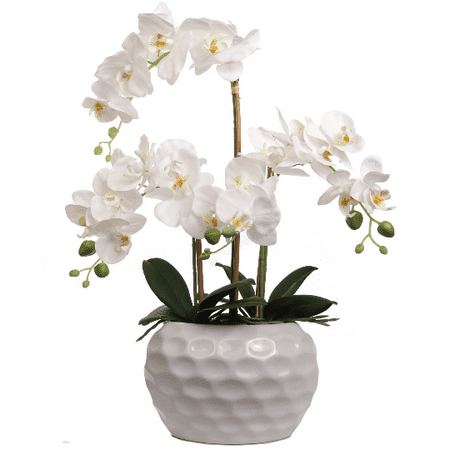 Floral Home 20  Artificial Natural Look Real Touch White Silk Orchid Flower Arrangement w Detail Soil & Roots In Decorative White Ceramic Vase 19 Inch Phalaenopsis Orchid Floral Arrangement in Decorative Black Ceramic Vase Each arrangement features 20 Detailed Silk Orchid Flower Heads  Decorative Black Ceramic Vase  Vibrant Green Foliage  Realistic Soil  Roots and Green Bulbs  WHITE CERAMIC VASE: A modern white circular ceramic vase will complement any decor Great for home  business  events  medical offices  waiting areas! Truly  you can feature this silk arrangement anywhere! White Orchid Flower Arrangement In Vase 19    20 Detailed Silk Orchid Flower Heads  Decorative Black Ceramic Vase  Vibrant Green Foliage Decorative containers are sold separately.