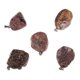 thumbnail image 5 of Dijes colgantes Baoblaze 5pcs para Collar Brazalete marrón, 5 of 7