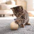 thumbnail image 2 of 4 Pcs Wooden Cat Balls Track Toy Replacement Wood Kitten Roller Balls for Circle Round Scratcher Toy Indoor Chasing Hunting Mental Physical Exercise, 2 of 6