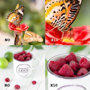 Close Lens,Ro Lens Waterproof 7 6 5 Lens 7 58mm Lens Qisuo Eryue