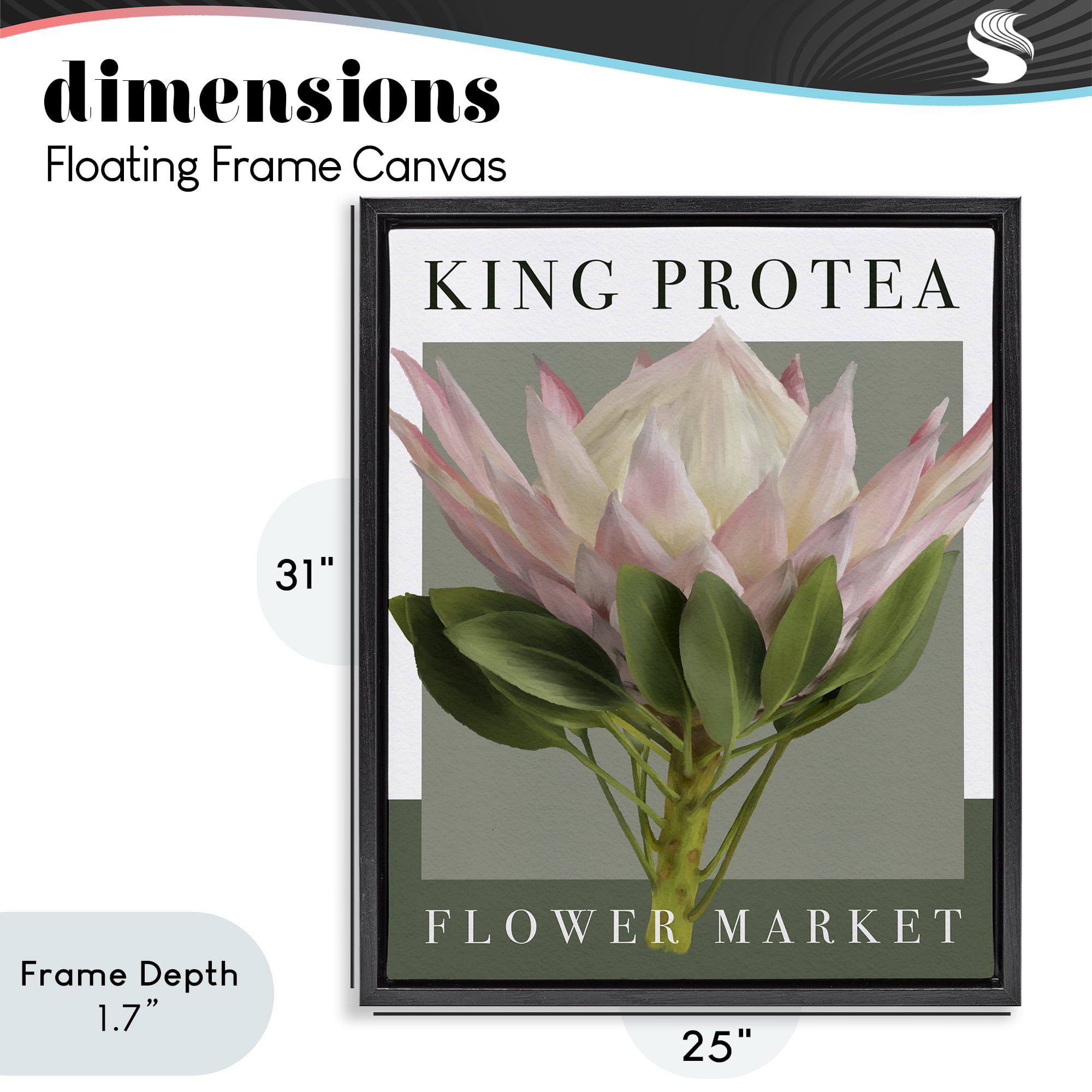 Stupell Industries King Protea Flower Market Black Framed Floater Canvas Wall Art, design by Jennifer Stith