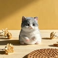 thumbnail image 4 of Pelota antiestrés de peluche con forma de gato | Juguete antiestrés suave y kawaii | Lindo gatito para aliviar la ansiedad | Juguete portátil para escritorio, hogar, oficina y coche, 4 of 7