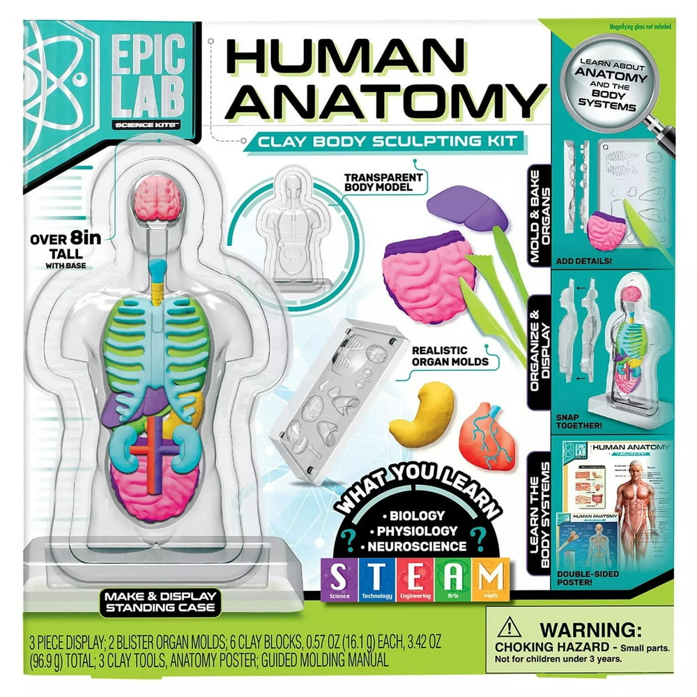 ArtSkills Epic Lab Human Anatomy STEM Clay Body Science Kit Walmart