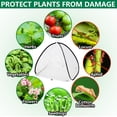 thumbnail image 7 of 2 Pcs Pop Up Insect Barrier Plant Cover Tent, 22 x 22 x 22 Inch Foldable Garden Plant Protectors Mesh Enclosure, Garden Net Cage Bird Insect Guard Cover for Protecting Plants Fruits Vegetables, 7 of 7