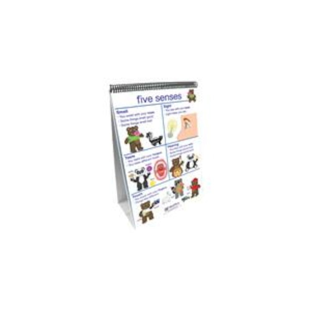 NewPath Learning All About Me Flip Chart Set - English Edition