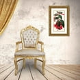 thumbnail image 3 of Anonymous 16x24 Gold Ornate Framed and Double Matted Museum Art Print Titled - Fuchsia Dominiana (1852-1861), 3 of 4