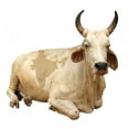 thumbnail image 2 of India Sacred Cow with Wall Mural by Wallmonkeys Peel and Stick Graphic (24 in W x 24 in H) WM282472, 2 of 4