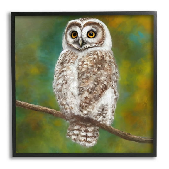 Detailed Wildlife Owl Bird Animals & Insects Painting Black Framed Art Print Wall Art