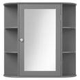 thumbnail image 1 of Pemberly Row Mount Wall Surface Bathroom Storage Cabinet Mirror Gray, 1 of 8