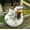 001, variant on Laimis Funny Farm Chicken Statues - Whimsical Resin Chicken Fence Decor for Home Garden and Patio
