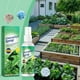 thumbnail image 1 of Aerosol de clorofila para flores, vegetales en macetas, hojas marchitas y amarillas, fertilizante nutritivo con urea y nitrógeno, 100 ml. Aerosol de clorofila, 1 of 9