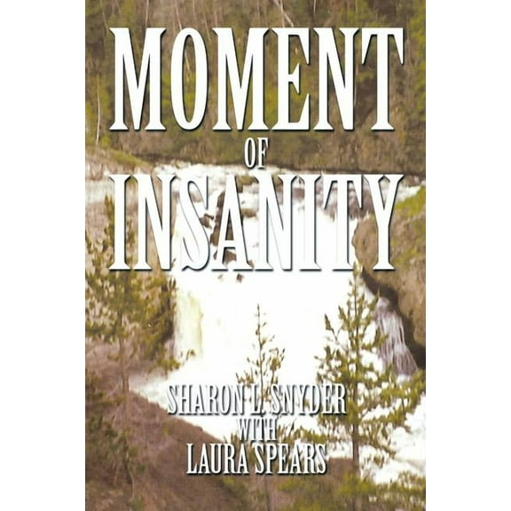 Moment of Insanity (Paperback)