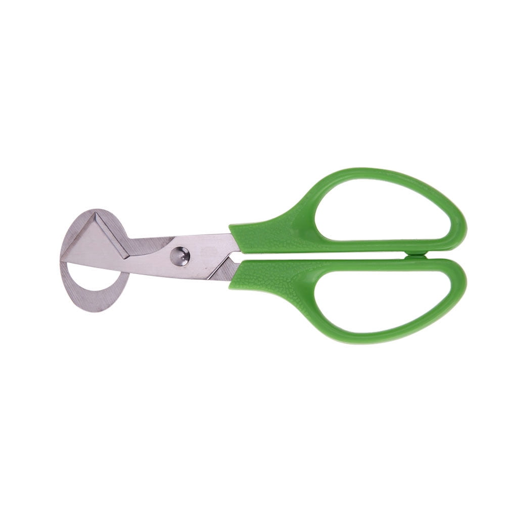 rudenlos Quail Egg Scissors Bird Egg Topper Cutters Househ Kitchen