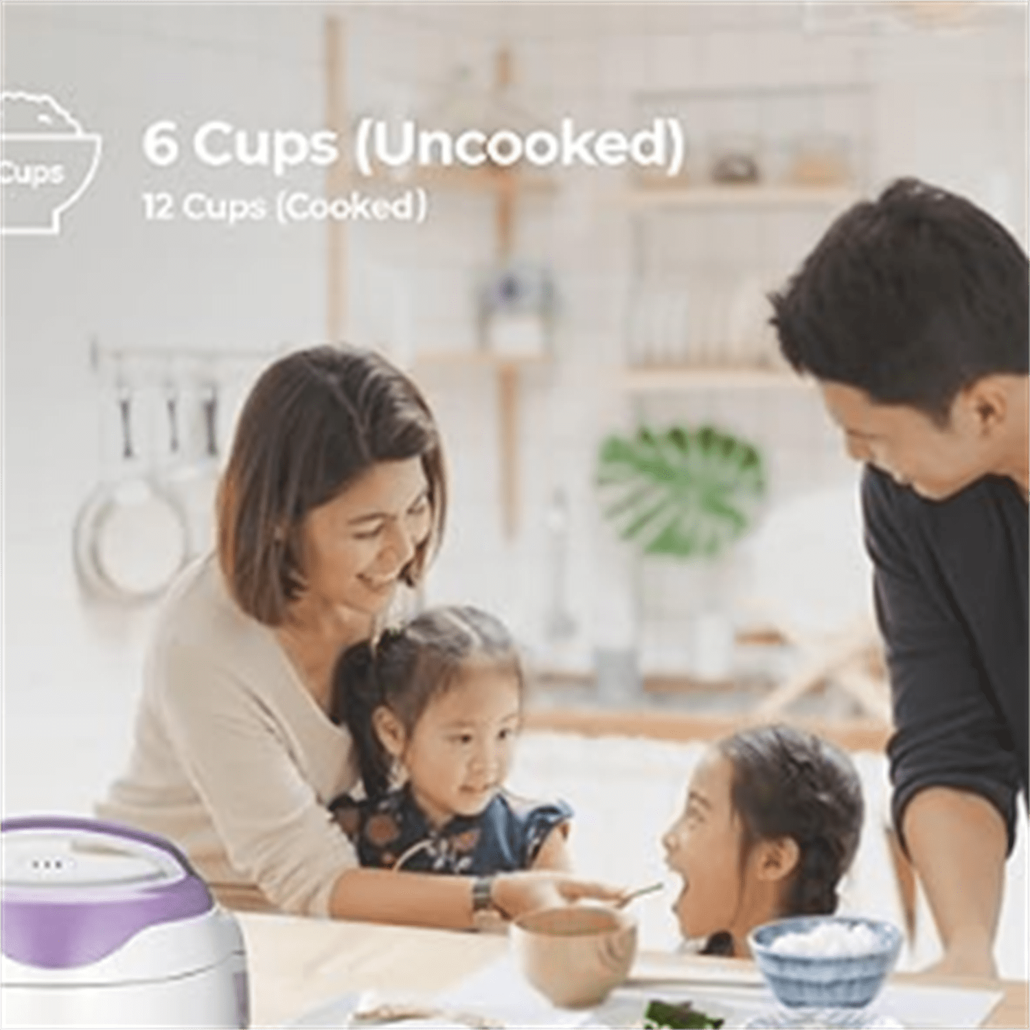 Electric Heating Rice Cooker (Violet/White)