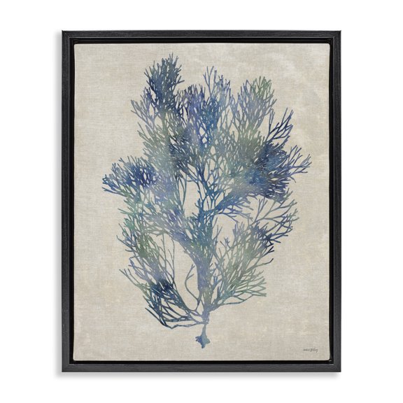 Stupell Industries Transitional Misty Blue Coral Study Black Floating Frame Canvas Art, 17 x 21, by Amber Sterling