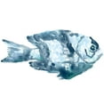 thumbnail image 2 of Vess, June Erica 24x19 White Modern Wood Framed Museum Art Print Titled - Blue Ocean Fish III, 2 of 4