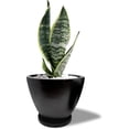 thumbnail image 2 of Maceta Ceramica de 25.4 cm con Drenaje y bandeja negro Elly Decor ED-MCD01BK, 2 of 6