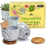Deluxe Succulent & Cactus Seed Grow Kit - Complete Indoor Cactus & Succulent Kit w/Cactus Seeds, Potting Soil, Ceramic Succulent Pots, Water Drip Trays, Grow Guide