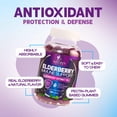 thumbnail image 6 of Elderberry Immune Support Gummies - Powerful Black Elderberry Extract Sambucus Nigra Vitamin Supplement - Natural Daily Immune Support Adults & Kids Ages 4+ Love - Delicious Berry Flavor, 120 Gummies, 6 of 10