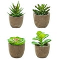 thumbnail image 1 of 4 Uds flor de simulación mini bonsái suculento decoración creativa hogar planta verde artificial plantas en macetas, 1 of 6