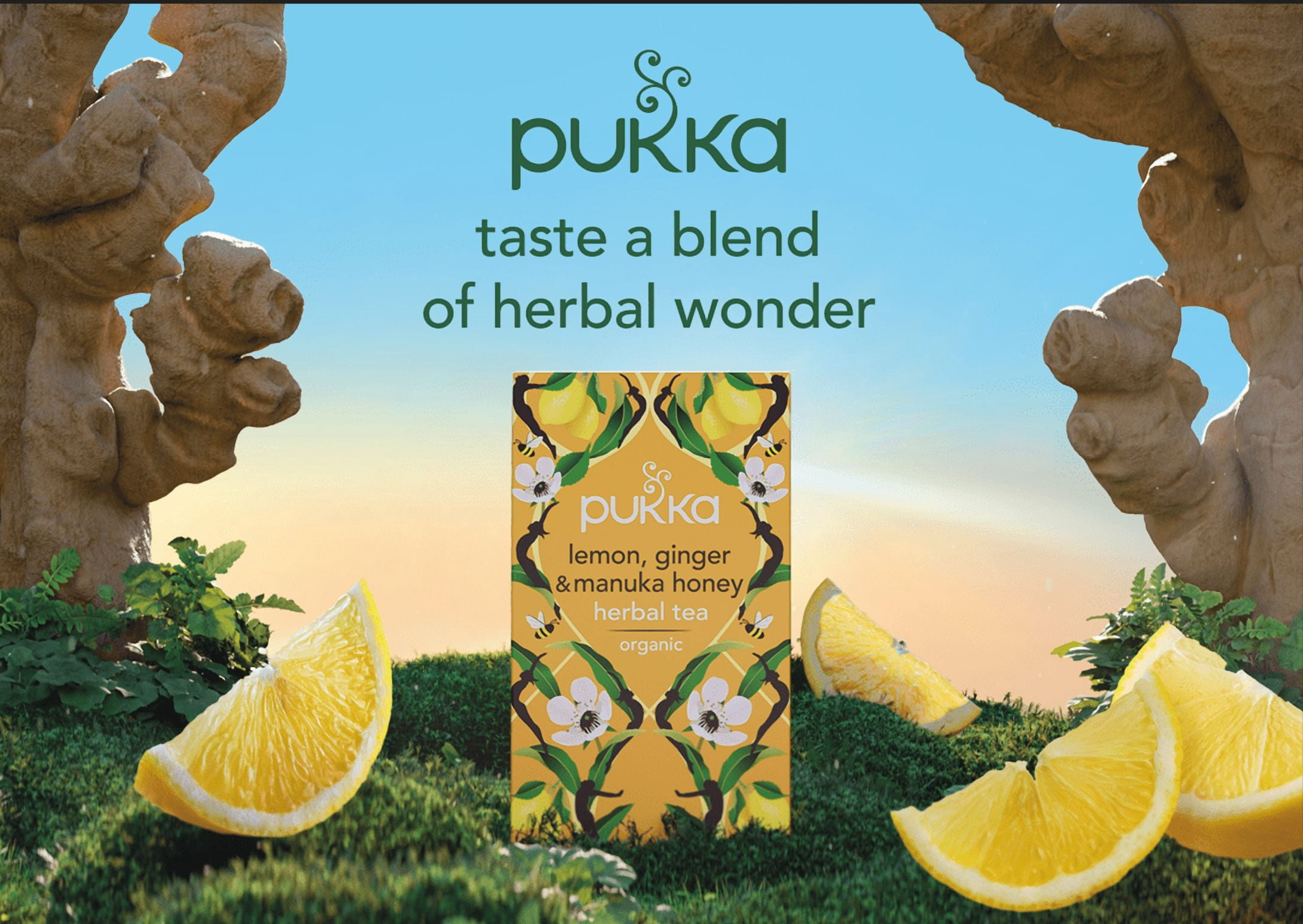 Pukka Organic Lemon, Ginger & Manuka Honey Tea Compostable Herbal Tea Bags 20 tea bag each (Pack of 2)