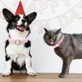 thumbnail image 4 of Small Dog Cat Big Pearl Collars with Crystal Rhinestone Diamond Décor, Adjustable Cute Fashion Pet PU Leather Necklace for Wedding Birthday Party (for Cats and Puppies), 4 of 6