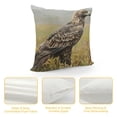 thumbnail image 4 of Orinice Bird Grass Field Jigsaw Puzzle Home Decorative Throw Pillow Cover for Couch Sofa Bed - High-Quality Short Plush, 1PC 22x22in, 4 of 5