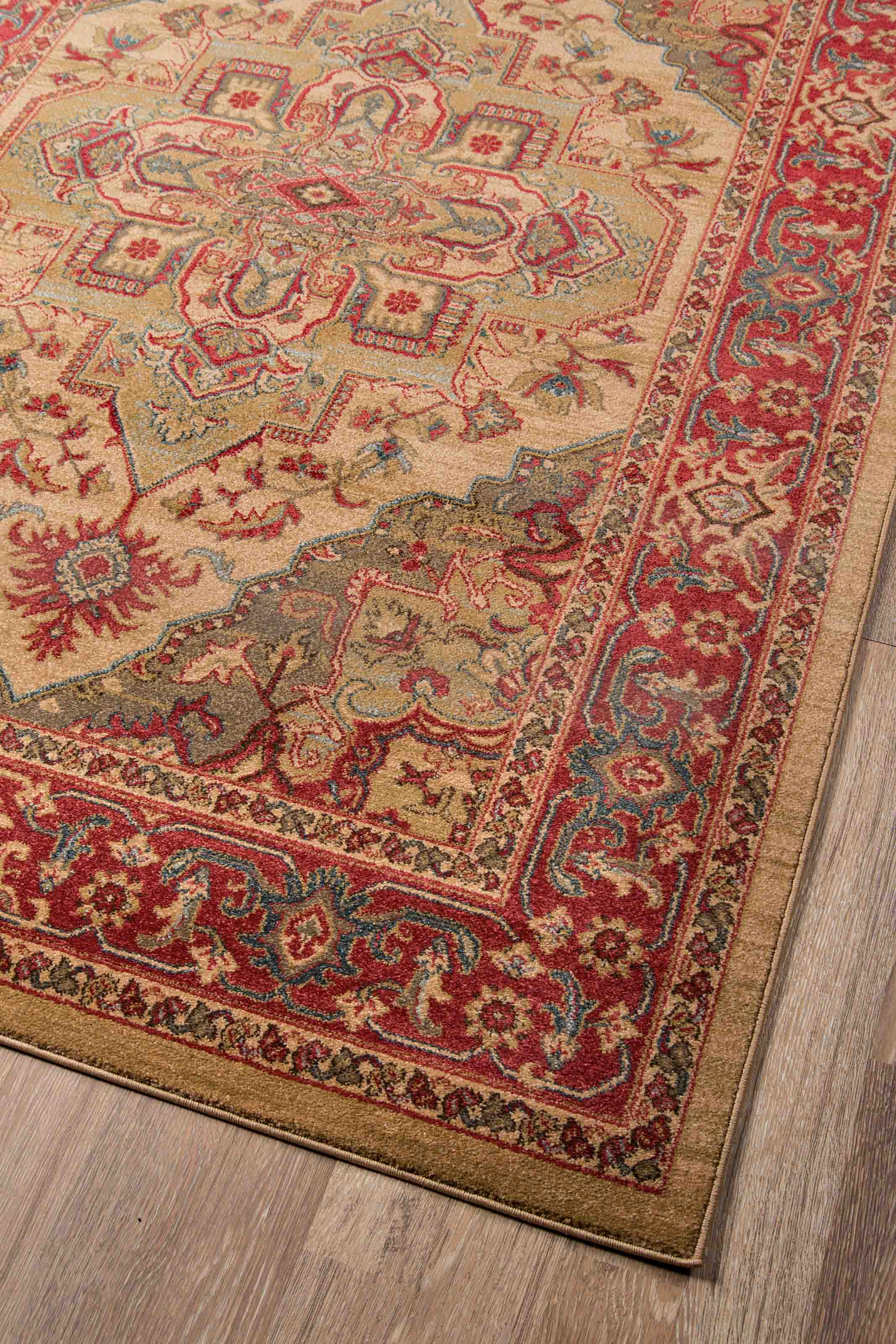 ECARPET Lux Traditional Area Rug for Living Room, Bedroom, Dining Entrance, Hallway and More.