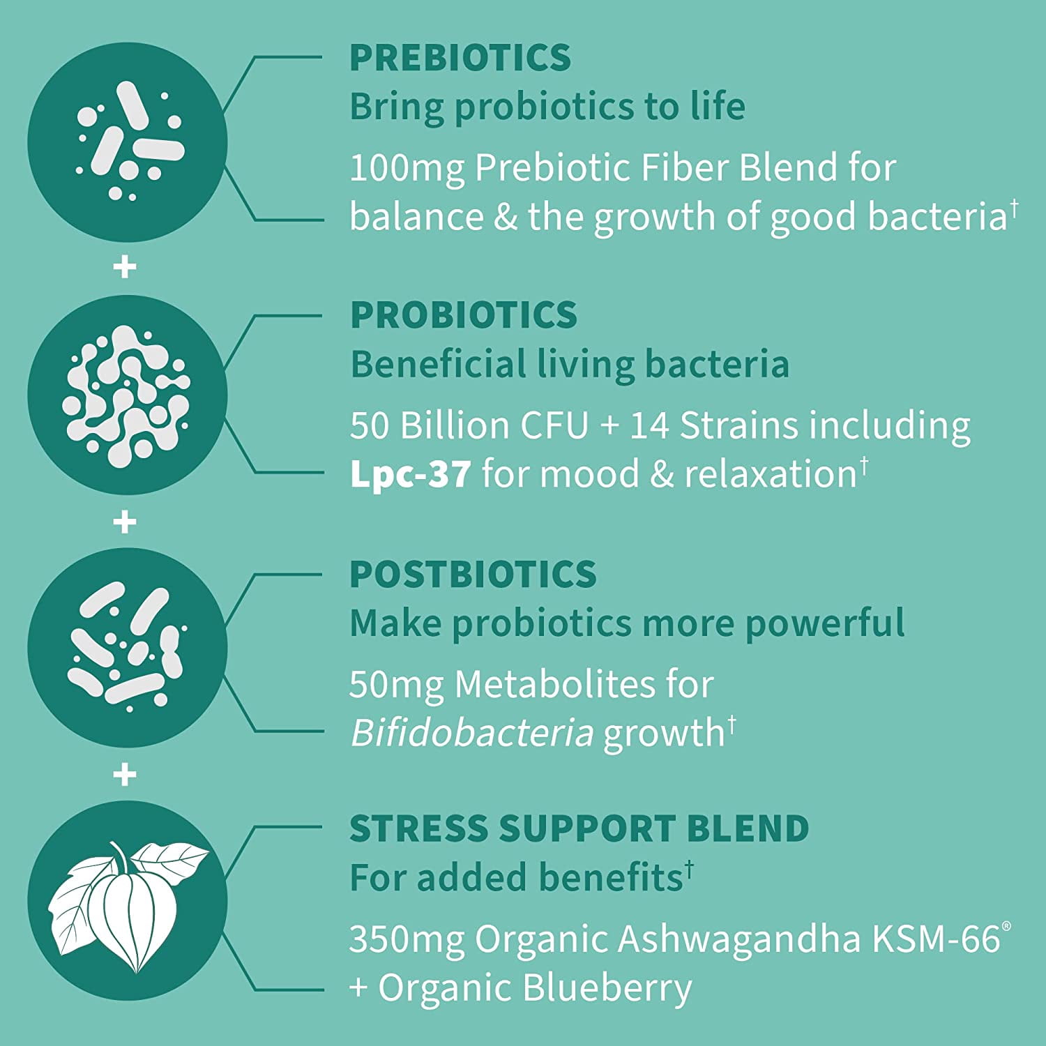 Garden of Life Dr Formulated Calm Daily 3-in-1 Complete Probiotics, Prebiotics & Postbiotics with Ashwagandha - PRE + PRO + POSTBIOTIC Supplement for Immune, Digestive & Mood Support - 30 Day Supply