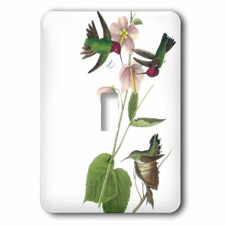 Humminbird Switch - 3dRose Hummingbirds with pink flowers vintage, Single Toggle Switch