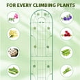 thumbnail image 5 of TROPOW Trellises for Climbing Plants, 2 Pack Metal Plant Trellises, 7.2Ft Iron Plants Support, 86.6" x 40", Green, 5 of 9