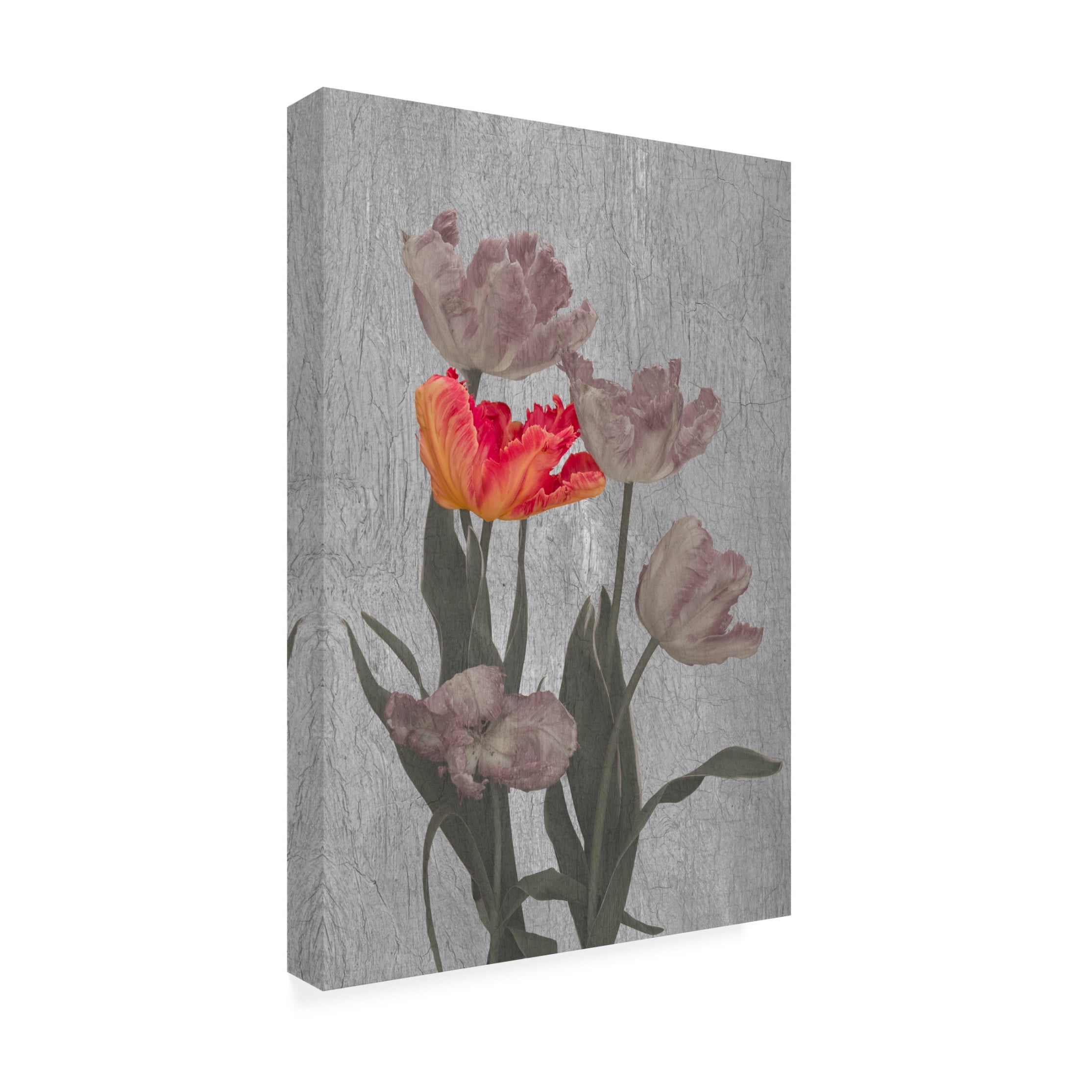 Trademark Fine Art Richard Urbanski Aflame Canvas Wall Art