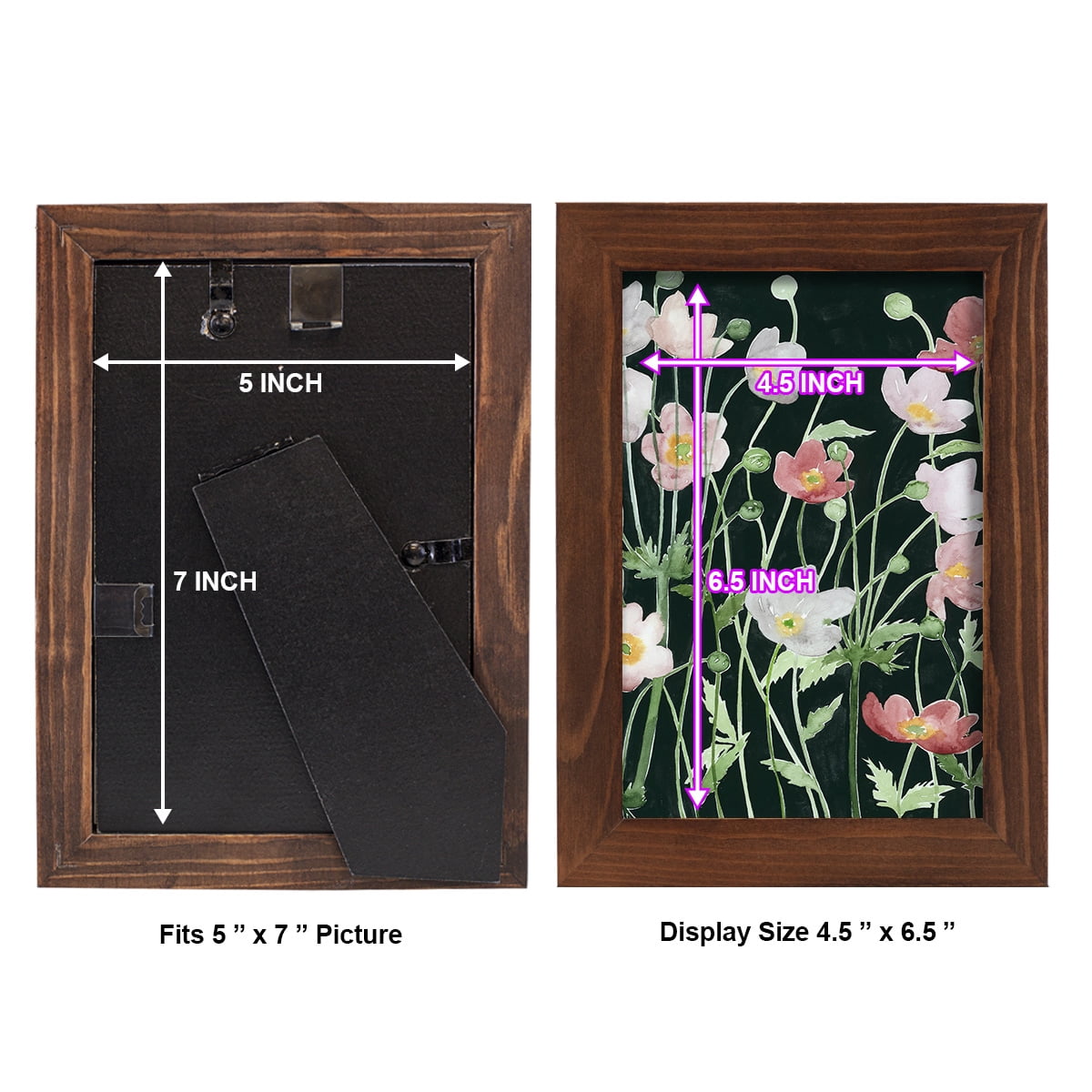 Anemone Dance I -Framed Print w/glass-Chestnut