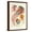Brown Frame, variant on Art.com Jelly Fish Art Print by Ernst Haeckel, 12" x 18"