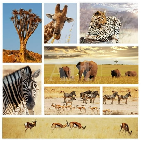 Safari Collage - African Safari Collage Print Wall Art By Andrushko Galyna