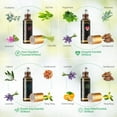 thumbnail image 4 of MAYJAM 28 Pack Therapeutic Grade Essential Oils Set for Diffusers Relaxation,Humidifier,Candle Making,Skin Care,Aromatherapy Oil Diffuser Oils,5ML, 4 of 10