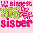 thumbnail image 3 of CafePress - Biggest Sister Pink Green2 T Shirt - Light T-Shirt Kids XS-XL, 3 of 4