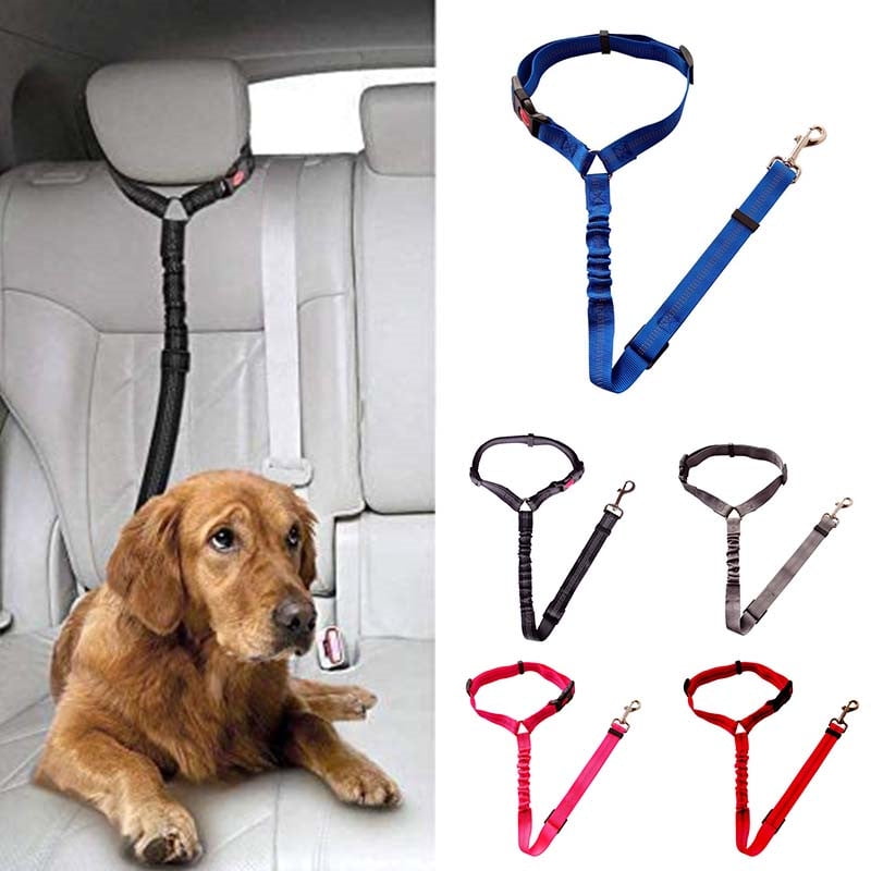 dog seat belt walmart