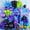 Black Blue Purple, variant on 2026 Graduation Balloon Garland Arch Kit, Black Gold Silver Balloon Arch Class of 2026 Graduation Decorations Disco Star Balloons for Grad Celebrations Birthday Party Decorations