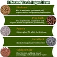 thumbnail image 4 of Bonsai Soil Potting Soil for Bonsai 2 Qt Natural Bonsai Tree Soil Mix for Potted Plant, 4 of 7